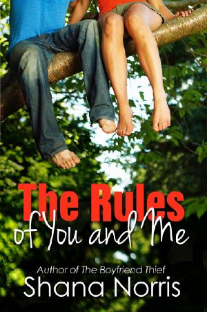 [Stolen Kiss 02] • The Rules of You and Me